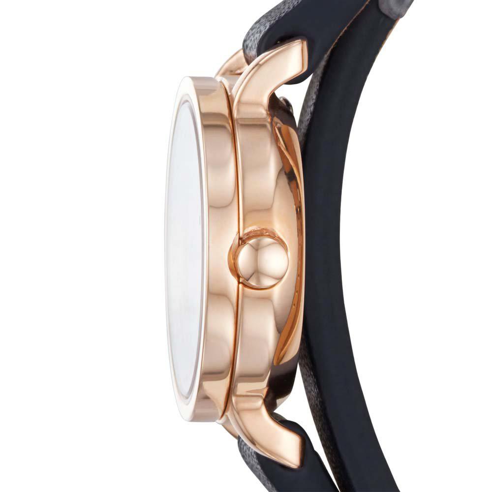 ساعت مچی زنانه اسکاژن SKW2598