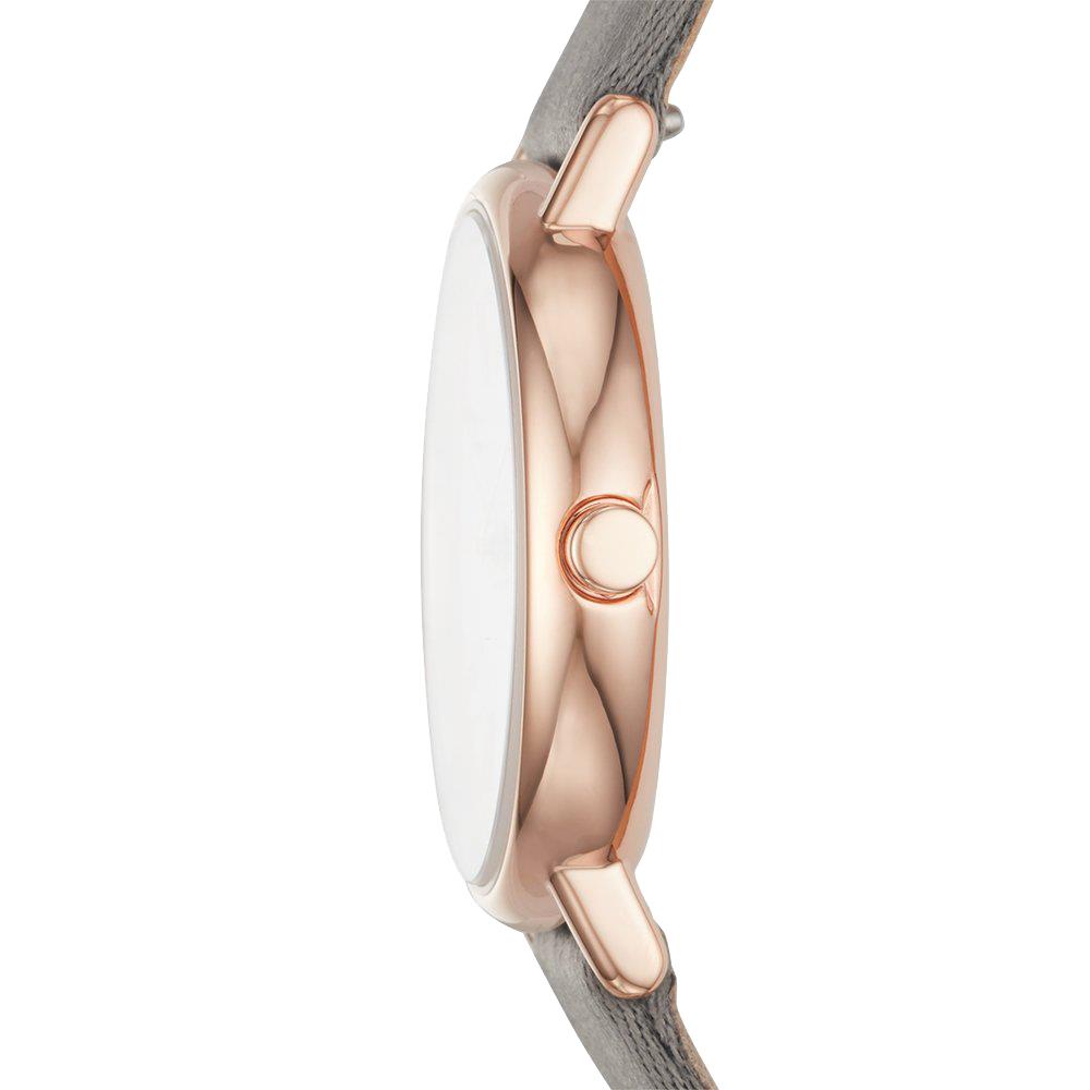 ساعت مچی زنانه اسکاژن SKW2697